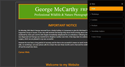 Desktop Screenshot of georgemccarthy.com