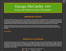 Tablet Screenshot of georgemccarthy.com